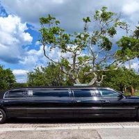 How to Make Your Graduation Day Extra Special With a Limo Service?